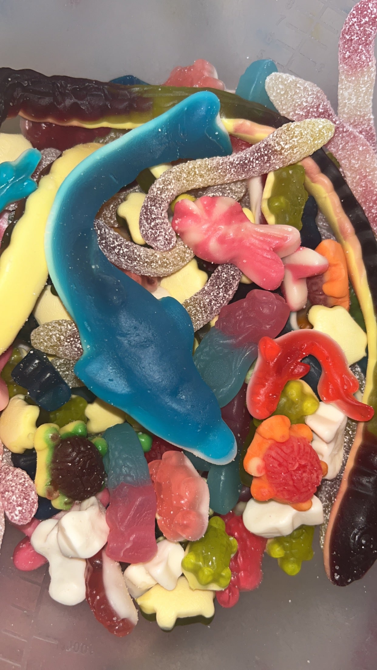 Double Trouble’s Ark 🐢 🐬 🦈 🐟 🧜♀️